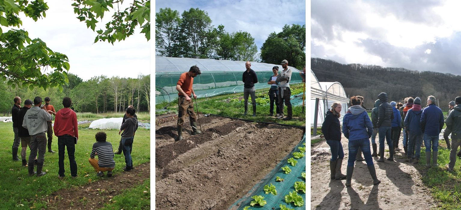 Frédéric Jean René SEURAT